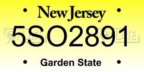 5SO2891 New Jersey License Plate