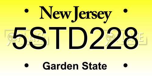 5STD228 New Jersey License Plate