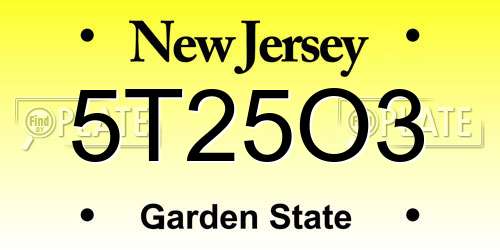5T25O3 New Jersey License Plate