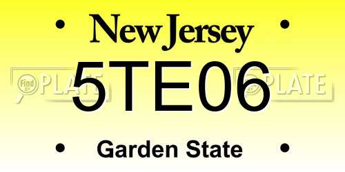 5TE06 New Jersey License Plate