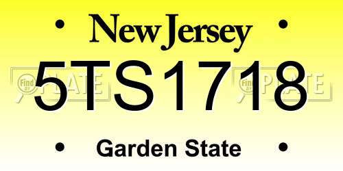 5TS1718 New Jersey License Plate