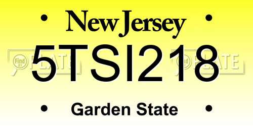 5TSI218 New Jersey License Plate