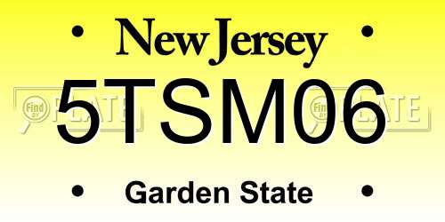 5TSM06 New Jersey License Plate