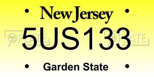 5US133 New Jersey License Plate