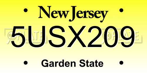 5USX209 New Jersey License Plate