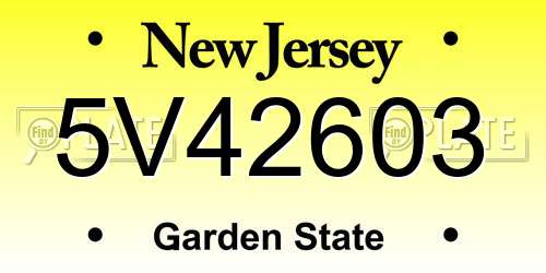 5V42603 New Jersey License Plate