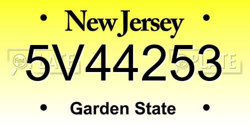 5V44253 New Jersey License Plate