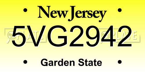 5VG2942 New Jersey License Plate