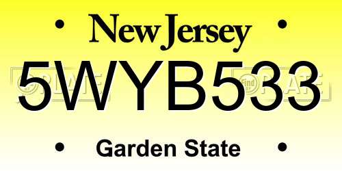 5WYB533 New Jersey License Plate