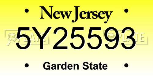 5Y25593 New Jersey License Plate