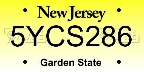 5YCS286 New Jersey License Plate