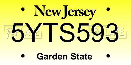 5YTS593 New Jersey License Plate