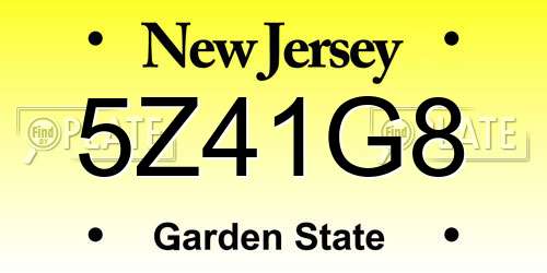 5Z41G8 New Jersey License Plate