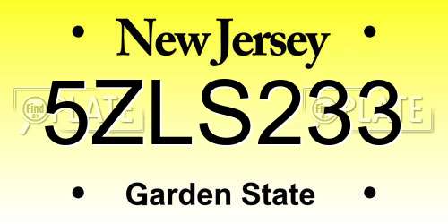 5ZLS233 New Jersey License Plate