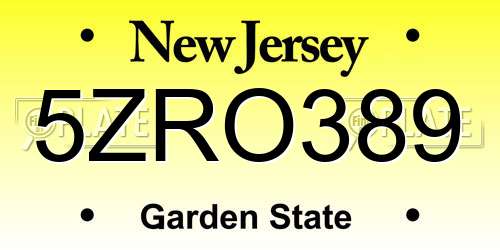 5ZRO389 New Jersey License Plate