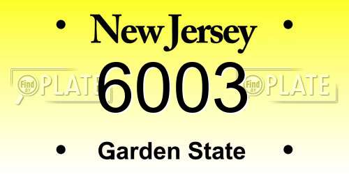 6003 New Jersey License Plate