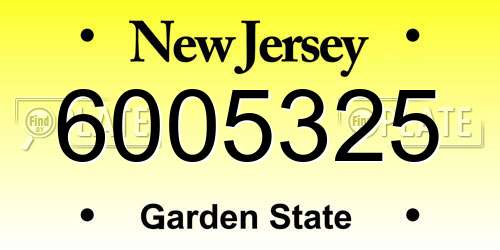 6005325 New Jersey License Plate