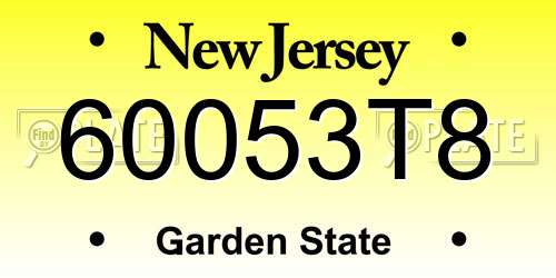 60053T8 New Jersey License Plate
