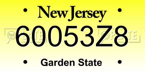 60053Z8 New Jersey License Plate