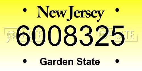 6008325 New Jersey License Plate