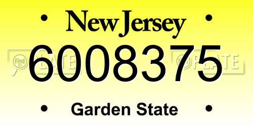 6008375 New Jersey License Plate