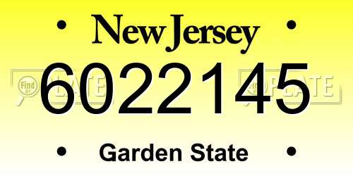 6022145 New Jersey License Plate