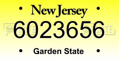 6023656 New Jersey License Plate