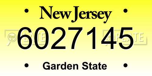 6027145 New Jersey License Plate