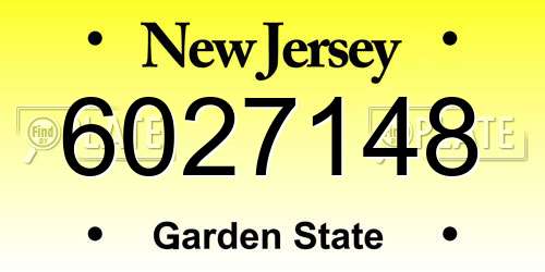 6027148 New Jersey License Plate