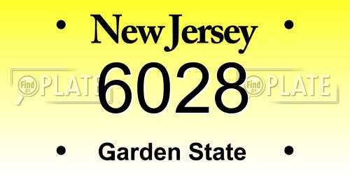 6028 New Jersey License Plate