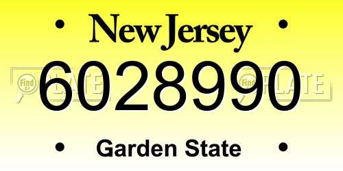6028990 New Jersey License Plate