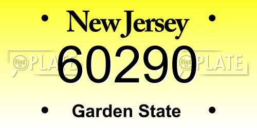 60290 New Jersey License Plate