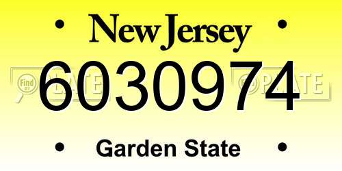 6030974 New Jersey License Plate