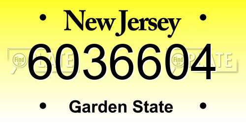 6036604 New Jersey License Plate