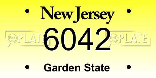 6042 New Jersey License Plate