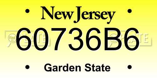 60736B6 New Jersey License Plate
