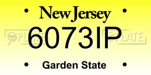 6073IP New Jersey License Plate