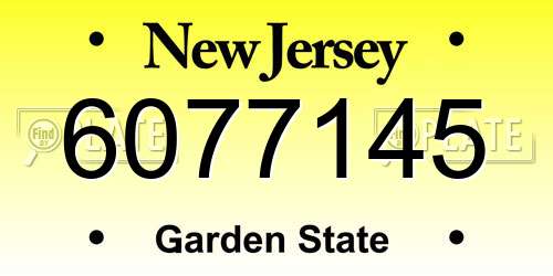 6077145 New Jersey License Plate