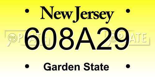 608A29 New Jersey License Plate