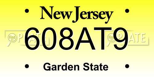 608AT9 New Jersey License Plate
