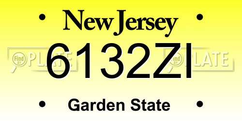 6132ZI New Jersey License Plate