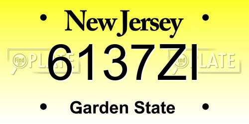 6137ZI New Jersey License Plate