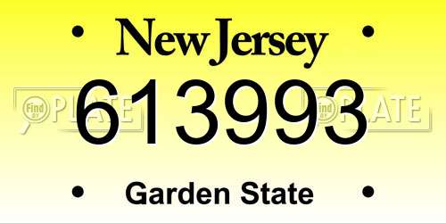 613993 New Jersey License Plate