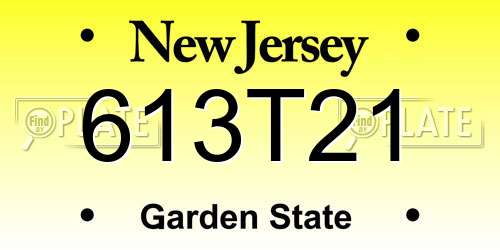 613T21 New Jersey License Plate