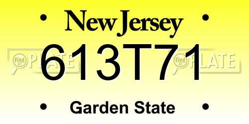 613T71 New Jersey License Plate
