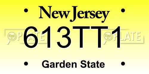 613TT1 New Jersey License Plate