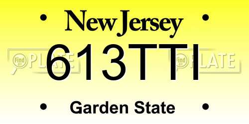 613TTI New Jersey License Plate