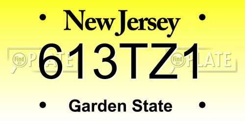613TZ1 New Jersey License Plate