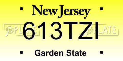613TZI New Jersey License Plate