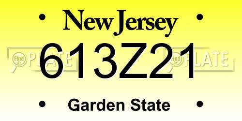 613Z21 New Jersey License Plate